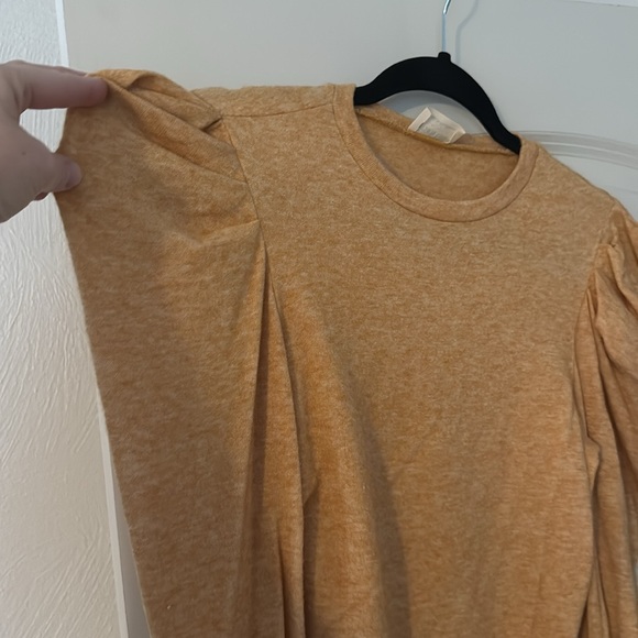 Fun Crop Top - Picture 2 of 4